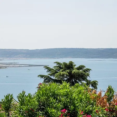Apartments Seaview Portoroz Exterior photo