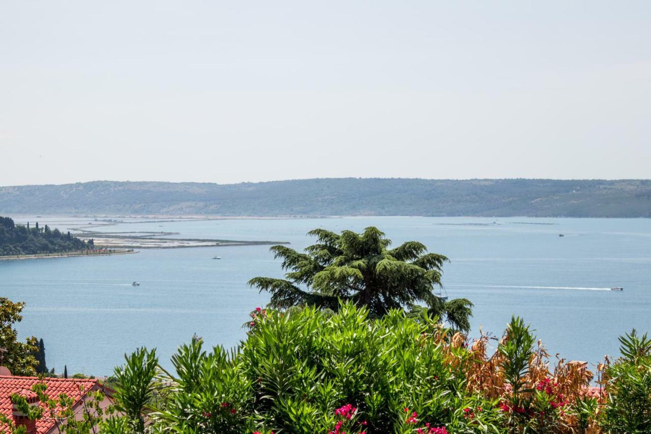 Seaview Apartment